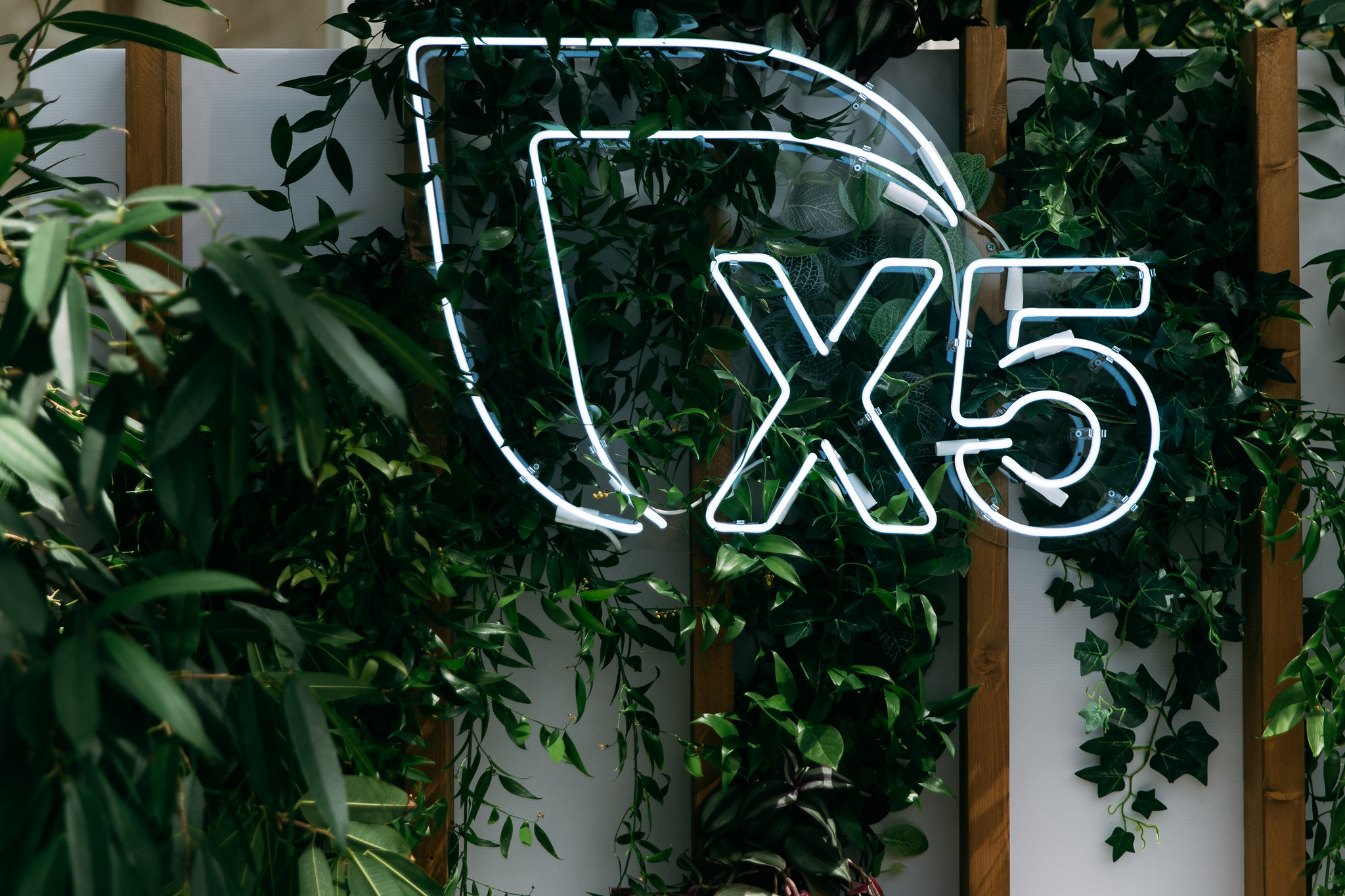 X5 Group планирует нарастить свою долю в е-grocery с 11 до 12,5% по итогам 2023 года