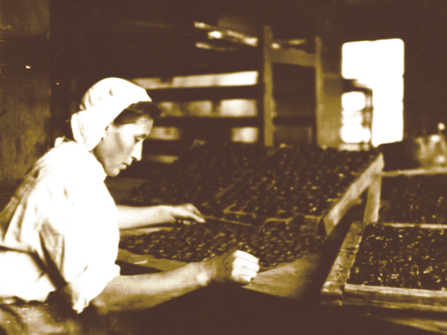 Конфетчик Чебоксарской кондитерской фабрики 1947 год.jpg