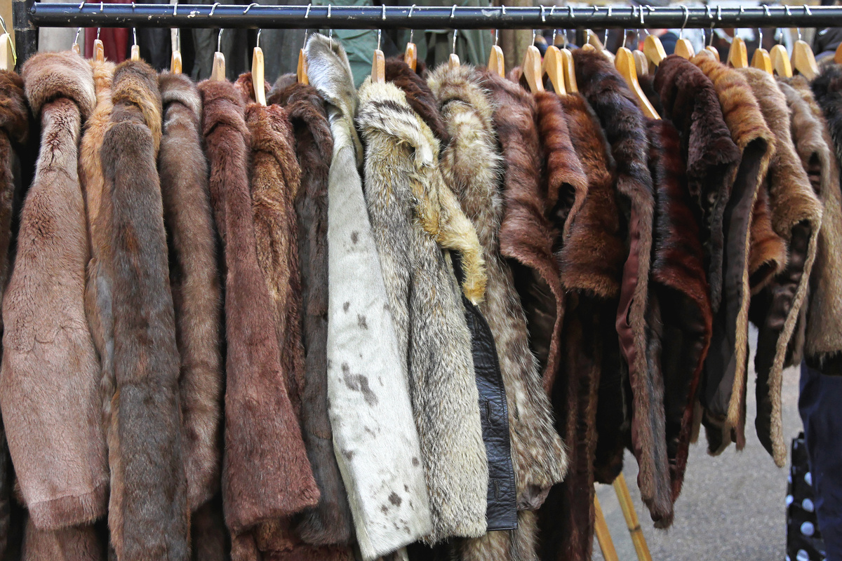 Роспотребнадзор конфисковал шубы на 7 млн рублей в Москве