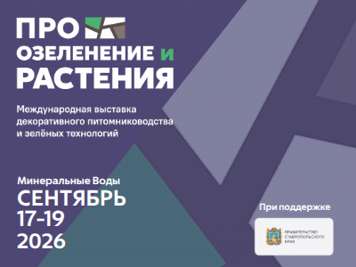 Декоративное изображение