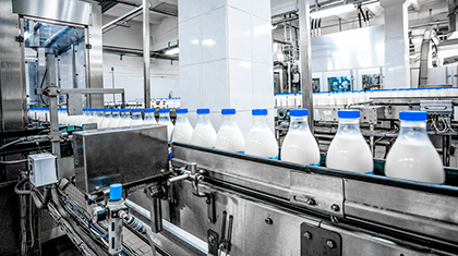 Маркировка молочной продукции в программах «1С» с печатью кодов в типографии