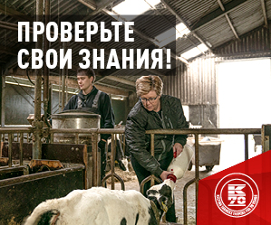 Декоративное изображение