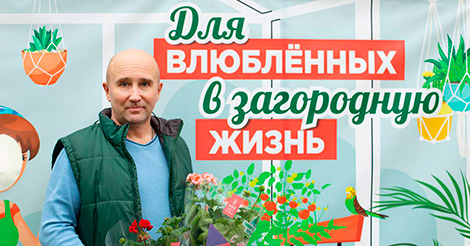 Декоративное изображение