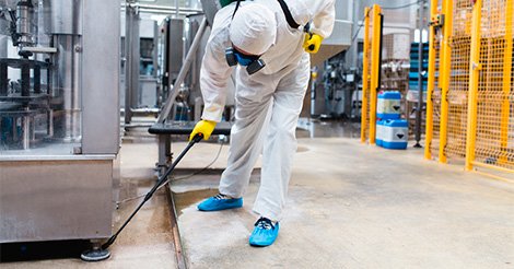 Декоративное изображение