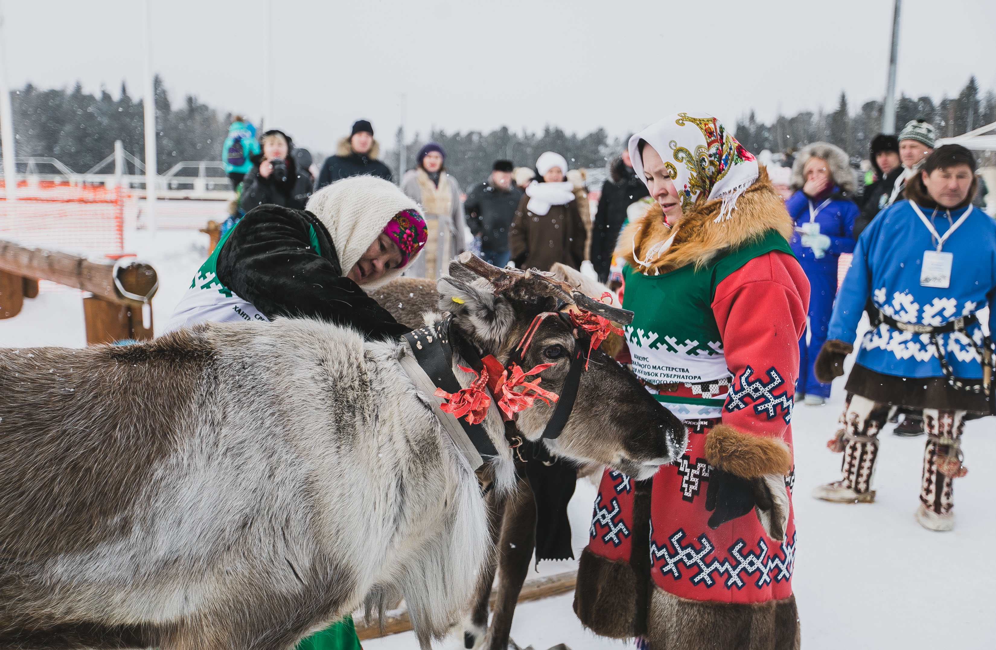 Ханты какая республика. Ханты-Мансийск манси. Коренные народы Югры Ханты Мансийск. Ханты-Мансийск автономная округ. Оленеводы Ханты-Мансийска.