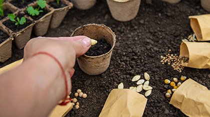 Декоративное изображение