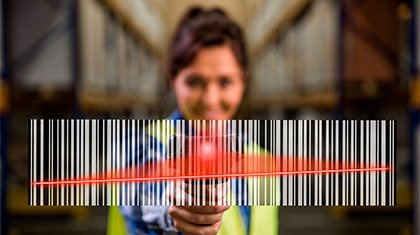 Декоративное изображение