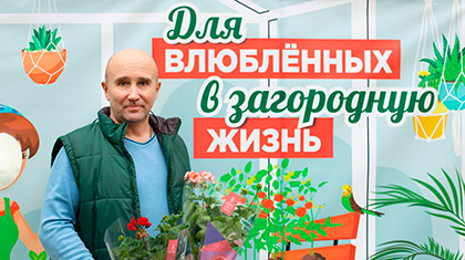 Декоративное изображение