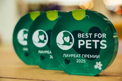 Декоративное изображение