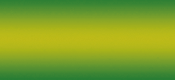 XIII Форум ИТ в розничной торговле
