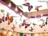 HouseHold Expo - 2013: актуальное направление ритейла