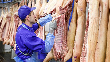 Декоративное изображение