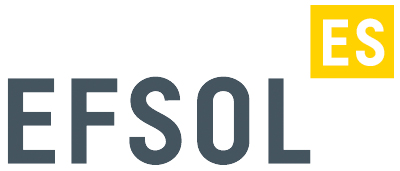 EFSOL. Системная интеграция. Консалтинг