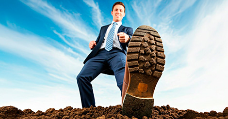 Декоративное изображение