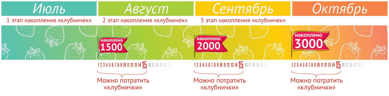 Программа лояльности: как сеть «Вестер» добилась увеличения частоты покупок?