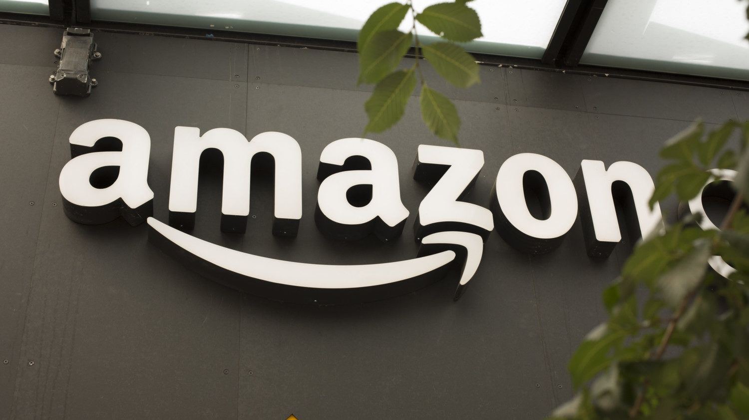 Amazon