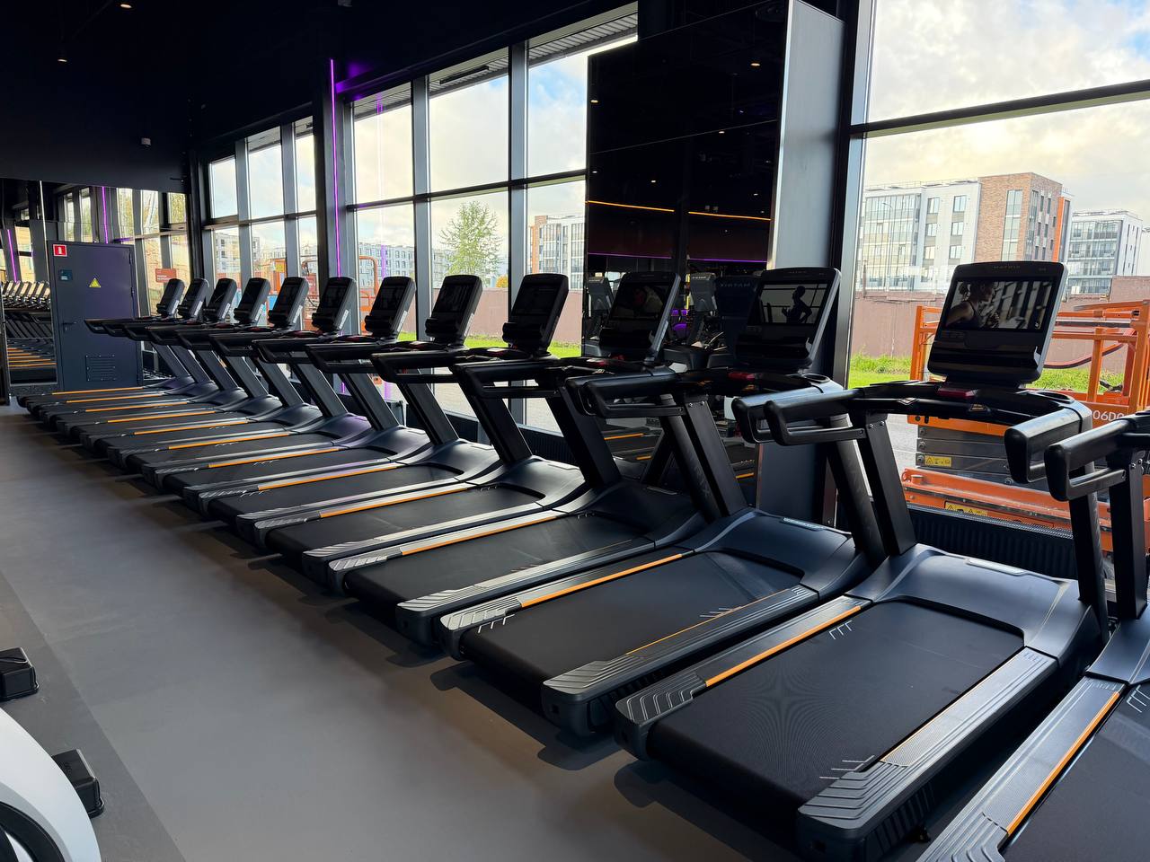 Источник: DDX Fitness 