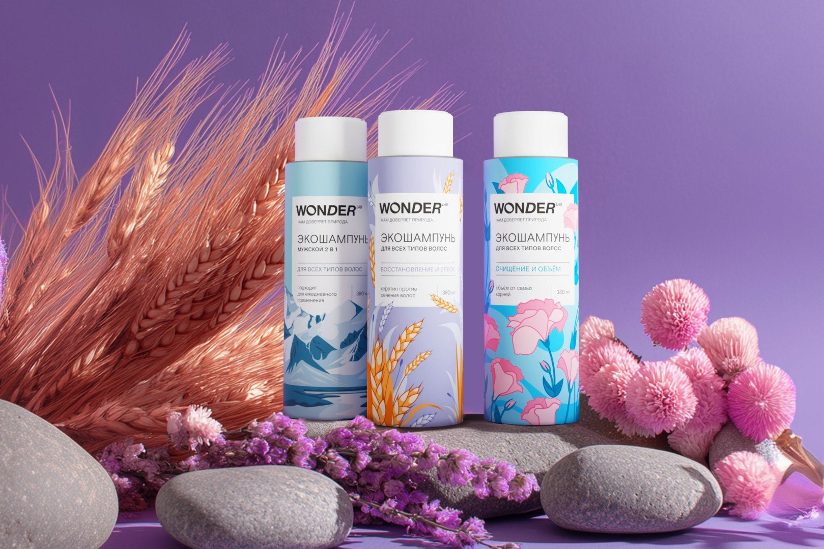 Источник: Wonder Lab 