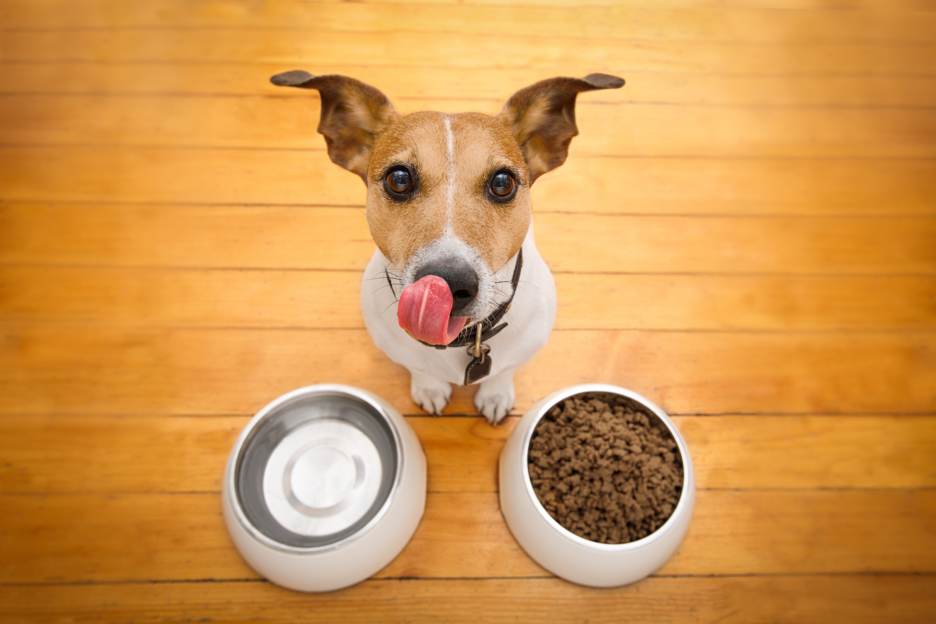 Javier Brosch/ Shutterstock Javier Brosch/ Shutterstock