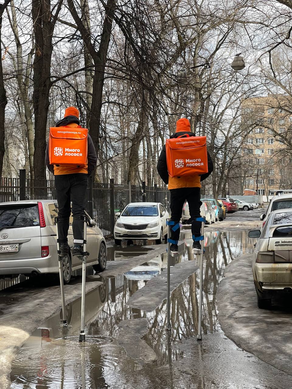 Источник: «Много лосося»