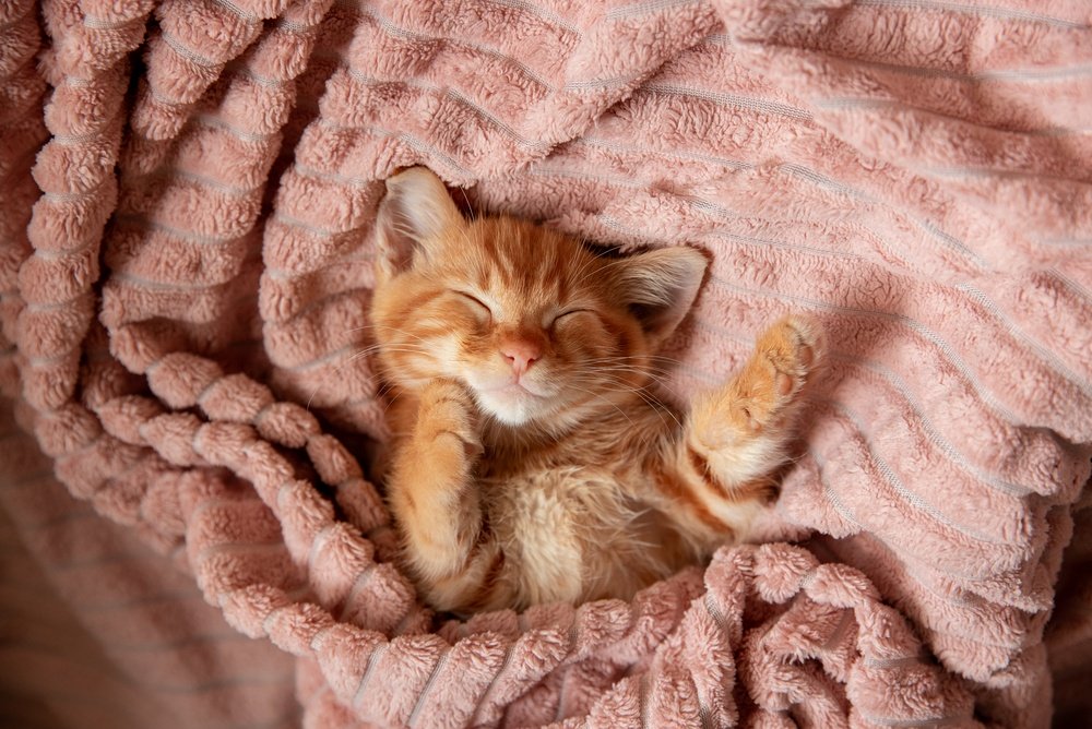 OlesyaPogosskaya/Shutterstock/Fotodom