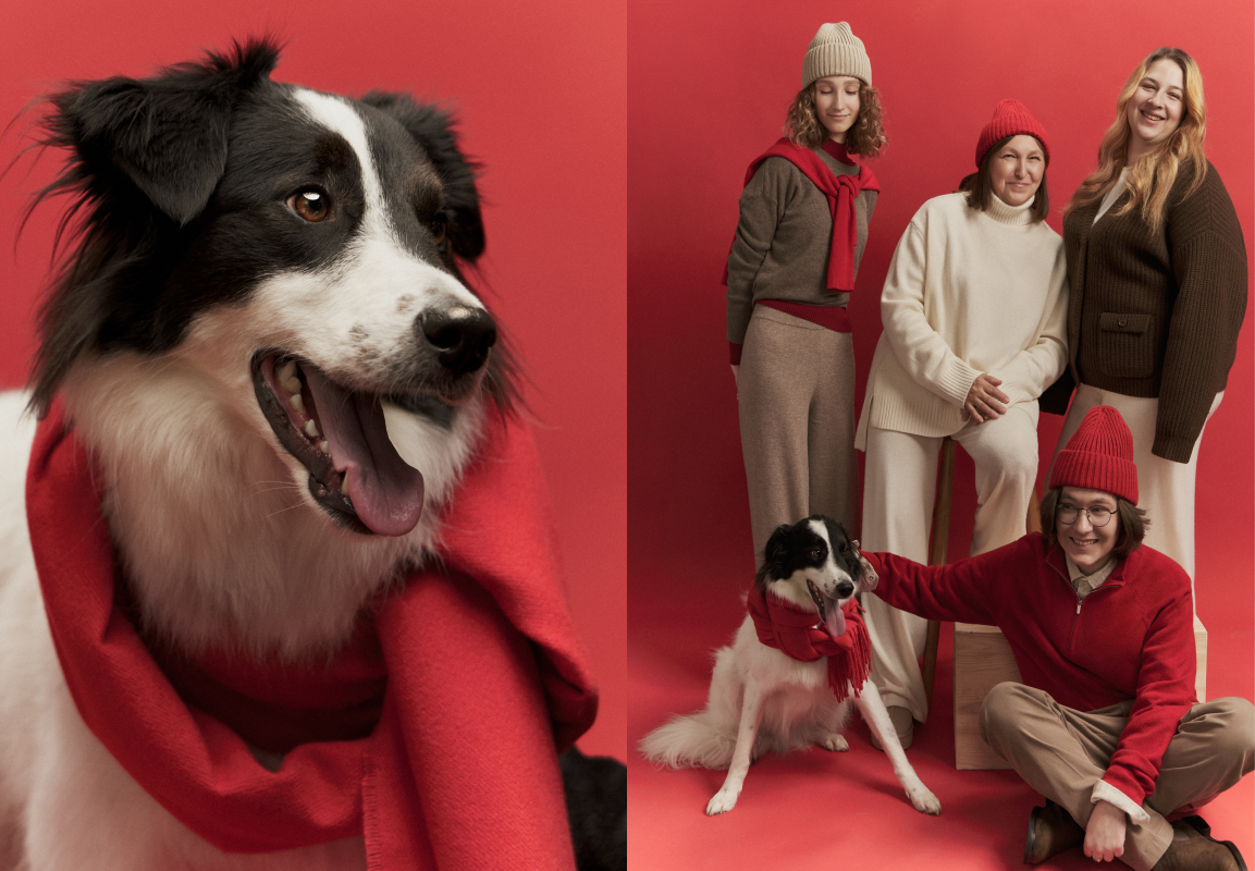 Источник: «Rendez-Vous»