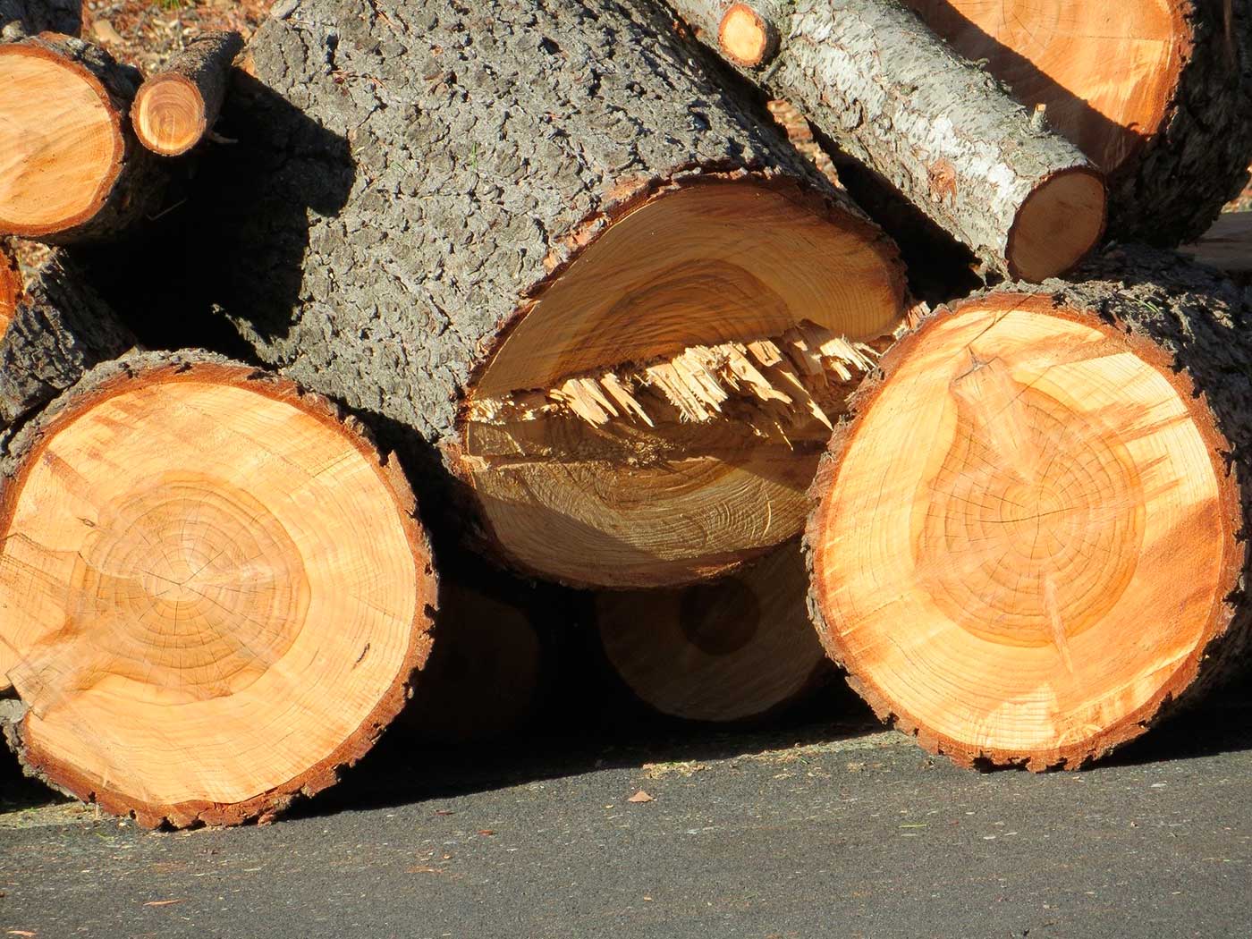 Рост цен на древесину в 2019 году повлияет на стоимость деревянной тары