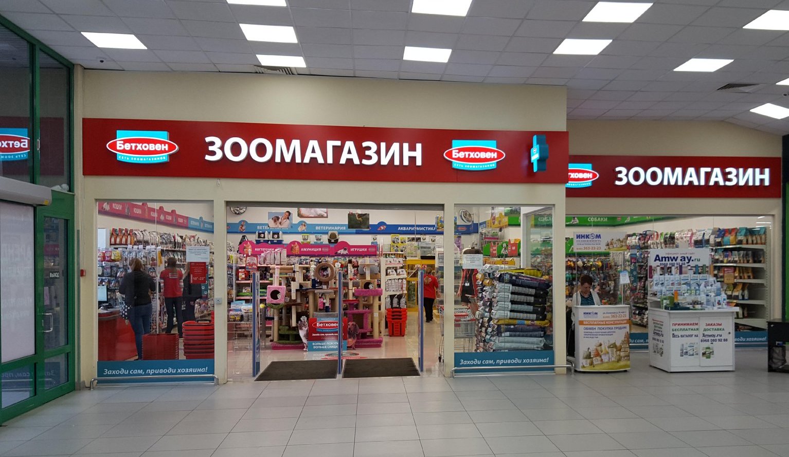 Бетховен Зоомагазин Интернет Магазин Каталог Доставка Бетховен Зоомагазин Интернет Магазин Каталог Доставка