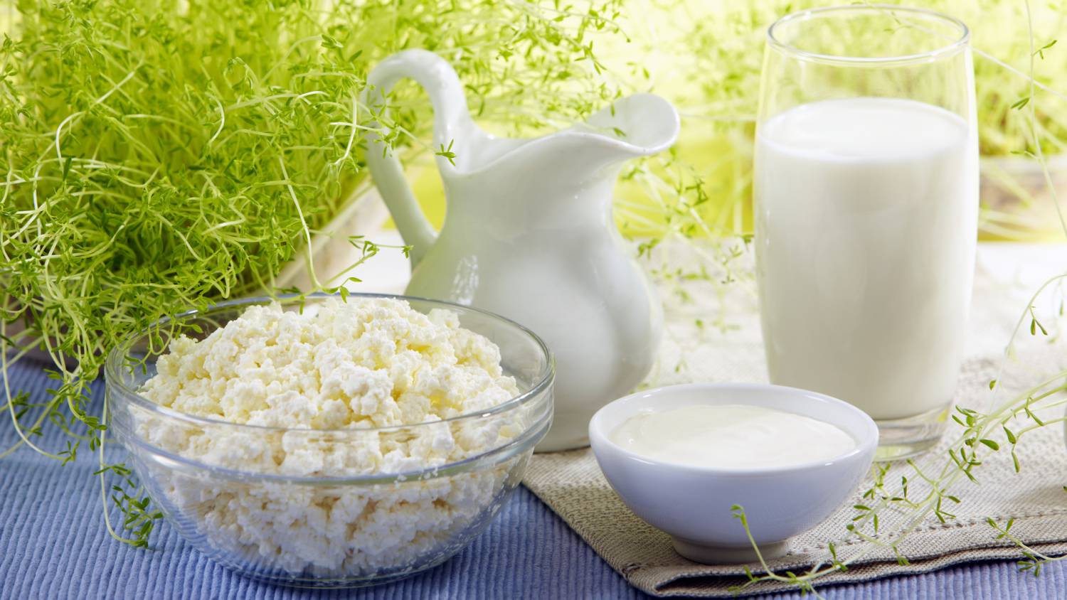 молочная продукция