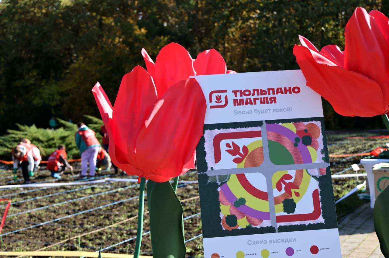 Источник: Магнит