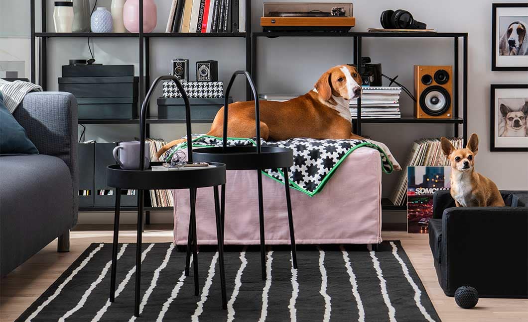 IKEA для животных IKEA для животных