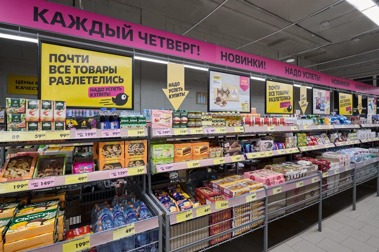 фото - ЧИЖИК.jpg