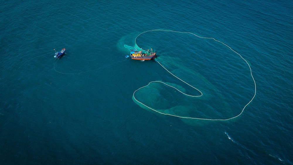 Tieu Bao Truong/Shutterstock/Fotodom