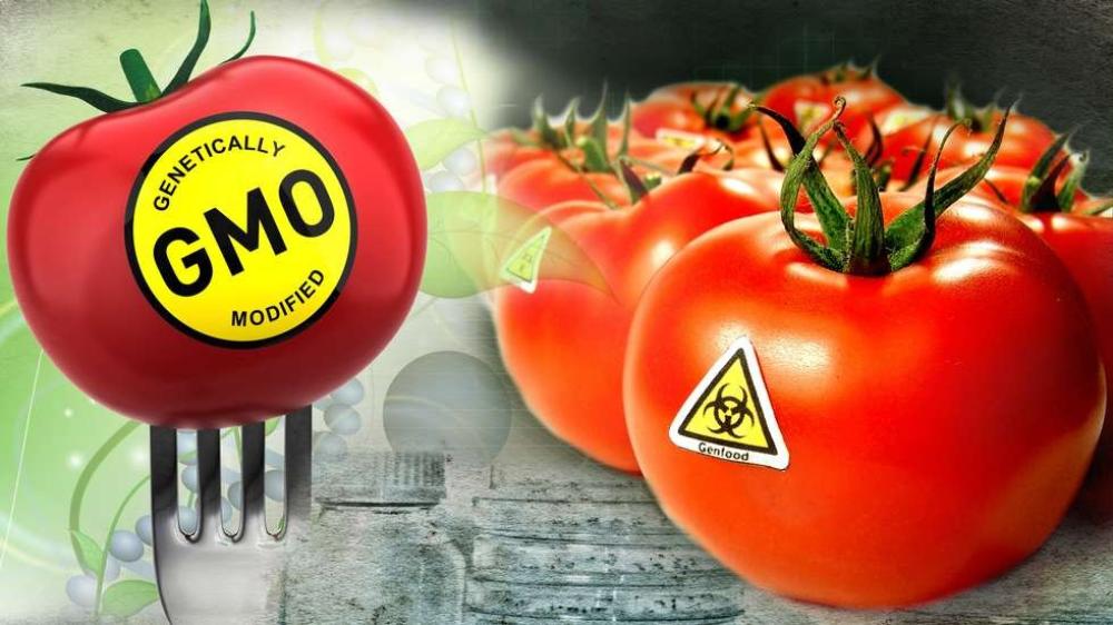 гмо