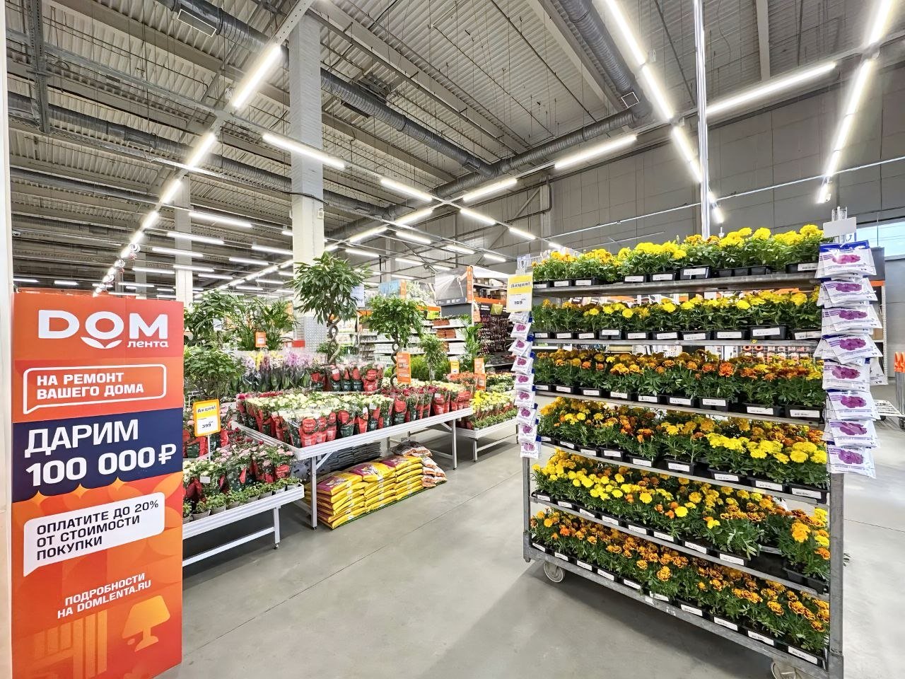 Источник: «Дом Лента»