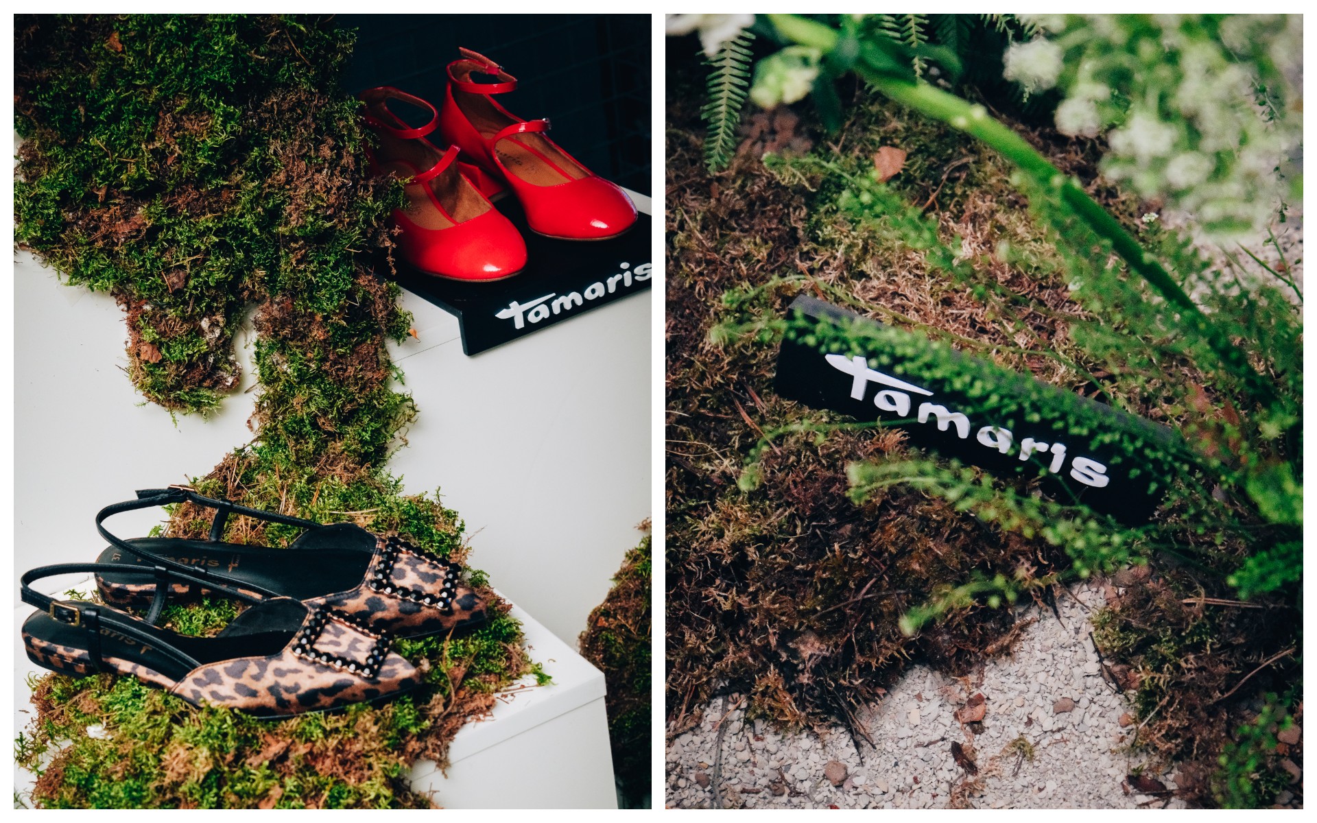 фото - Tamaris (2).jpg