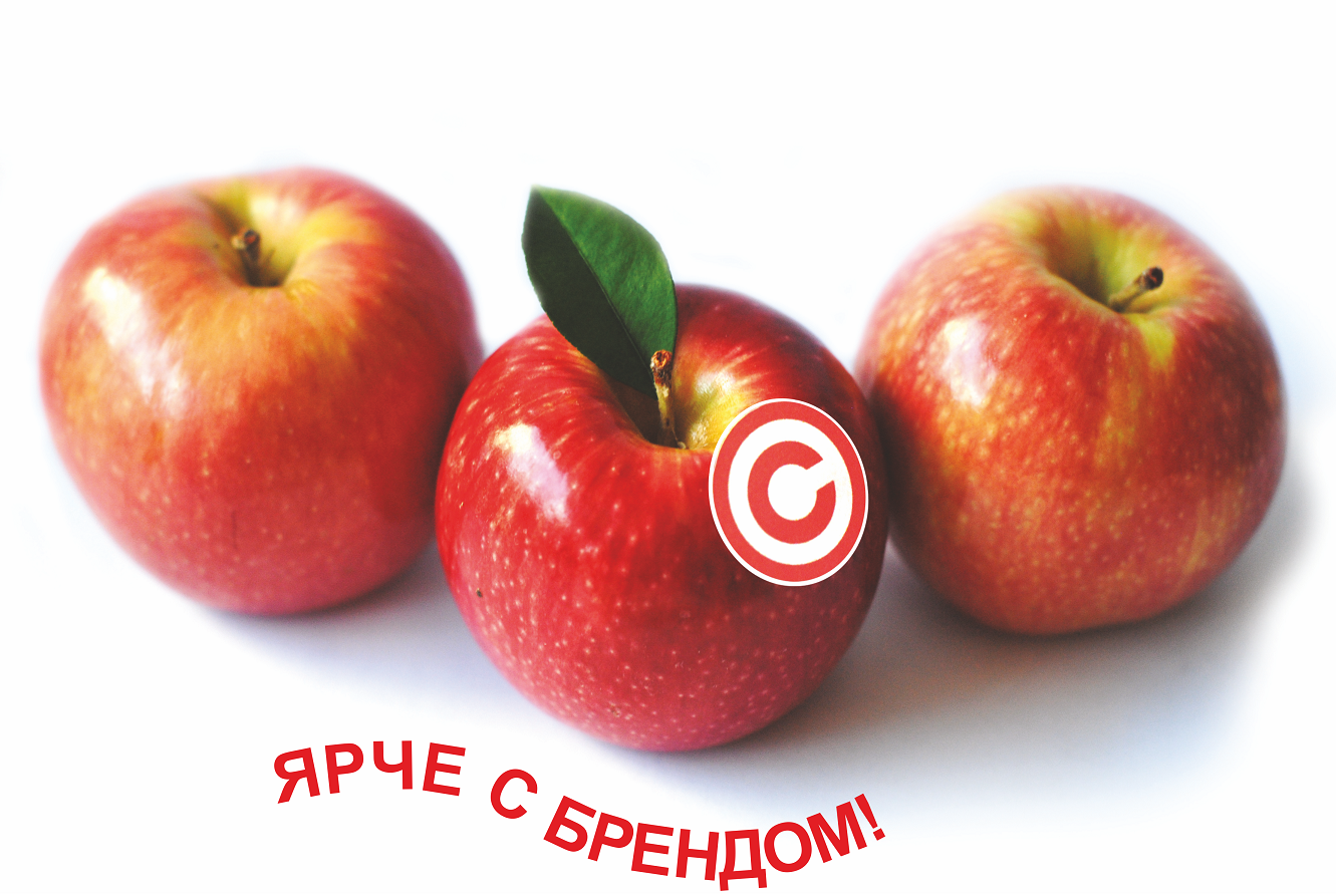 ВЕСТНИК2.png