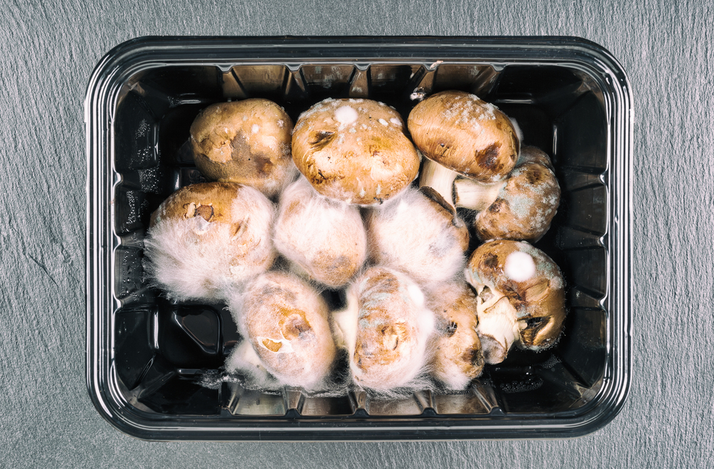 Marc Bruxelle/shutterstock