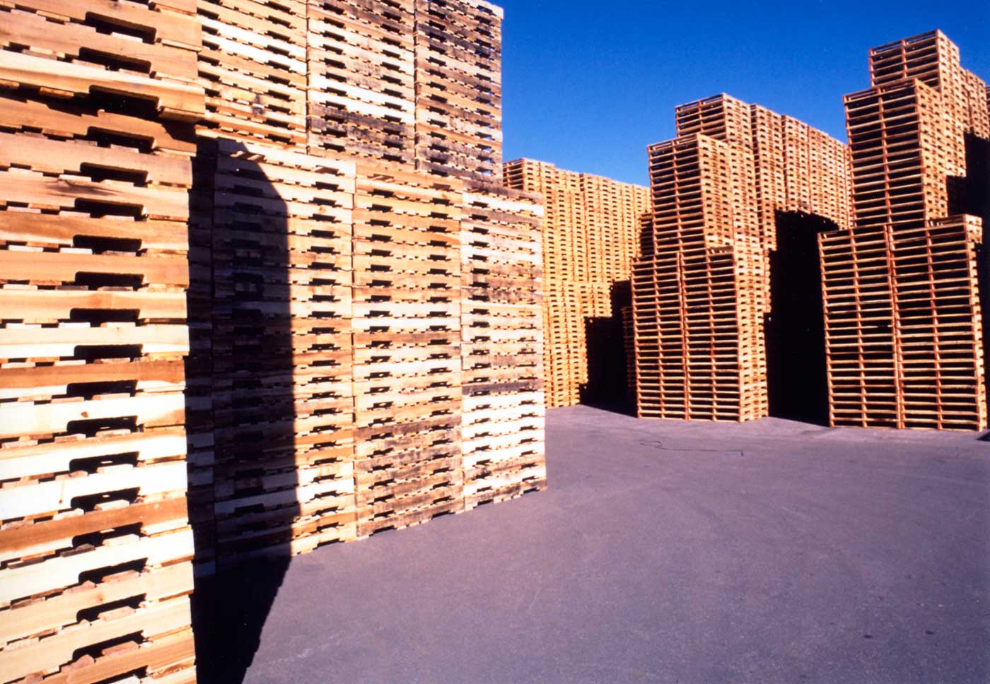 Рост цен на древесину в 2019 году повлияет на стоимость деревянной тары