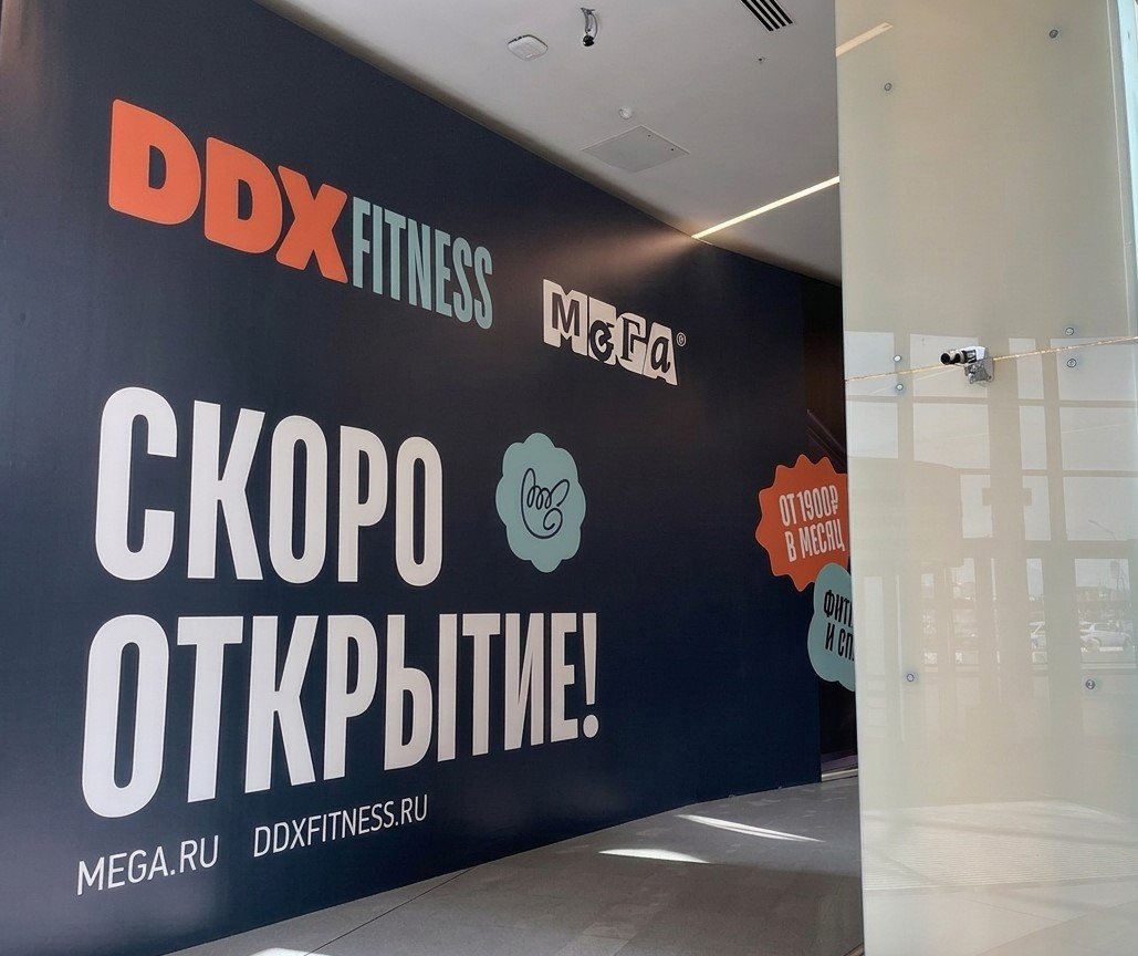 Источник: DDX Fitness 
