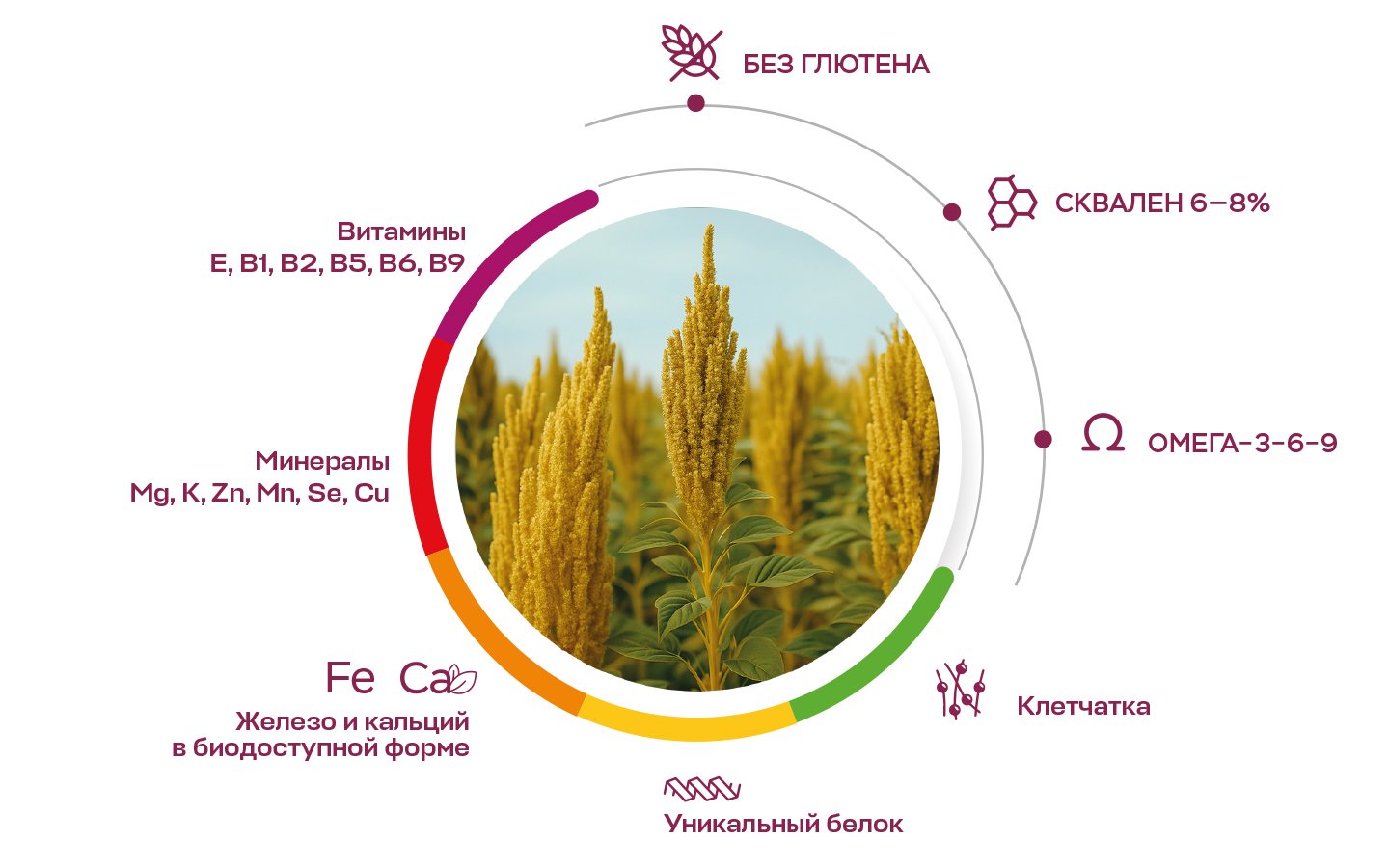 Источник: НПХ «АмарантАгро» 