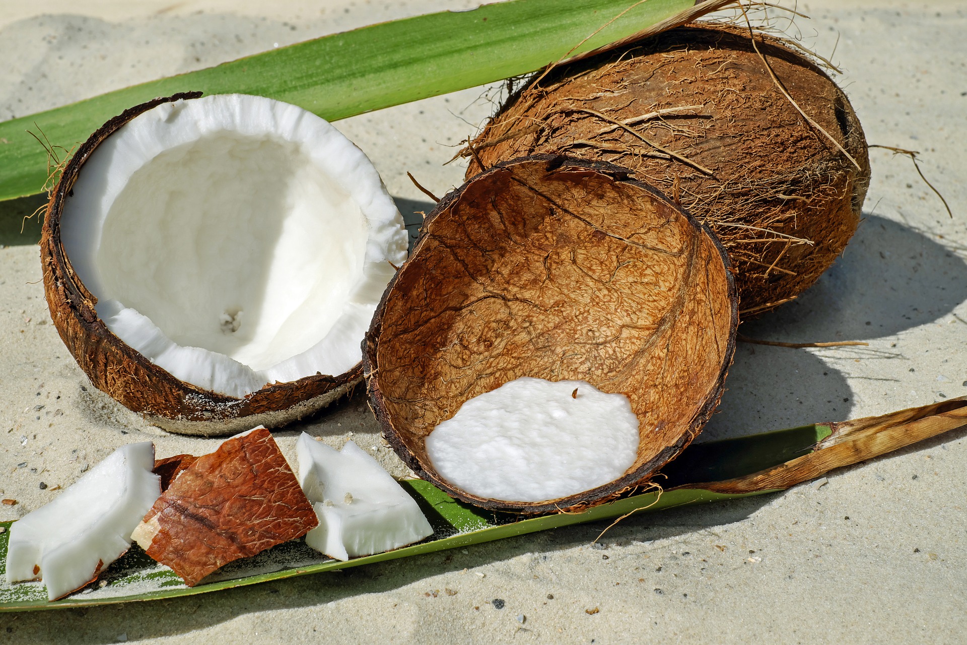 Фото: pixabay.com