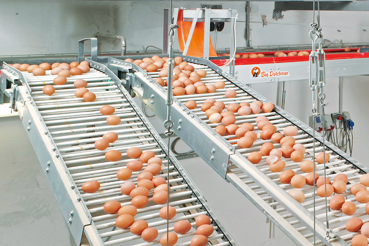 фасовка продуктов