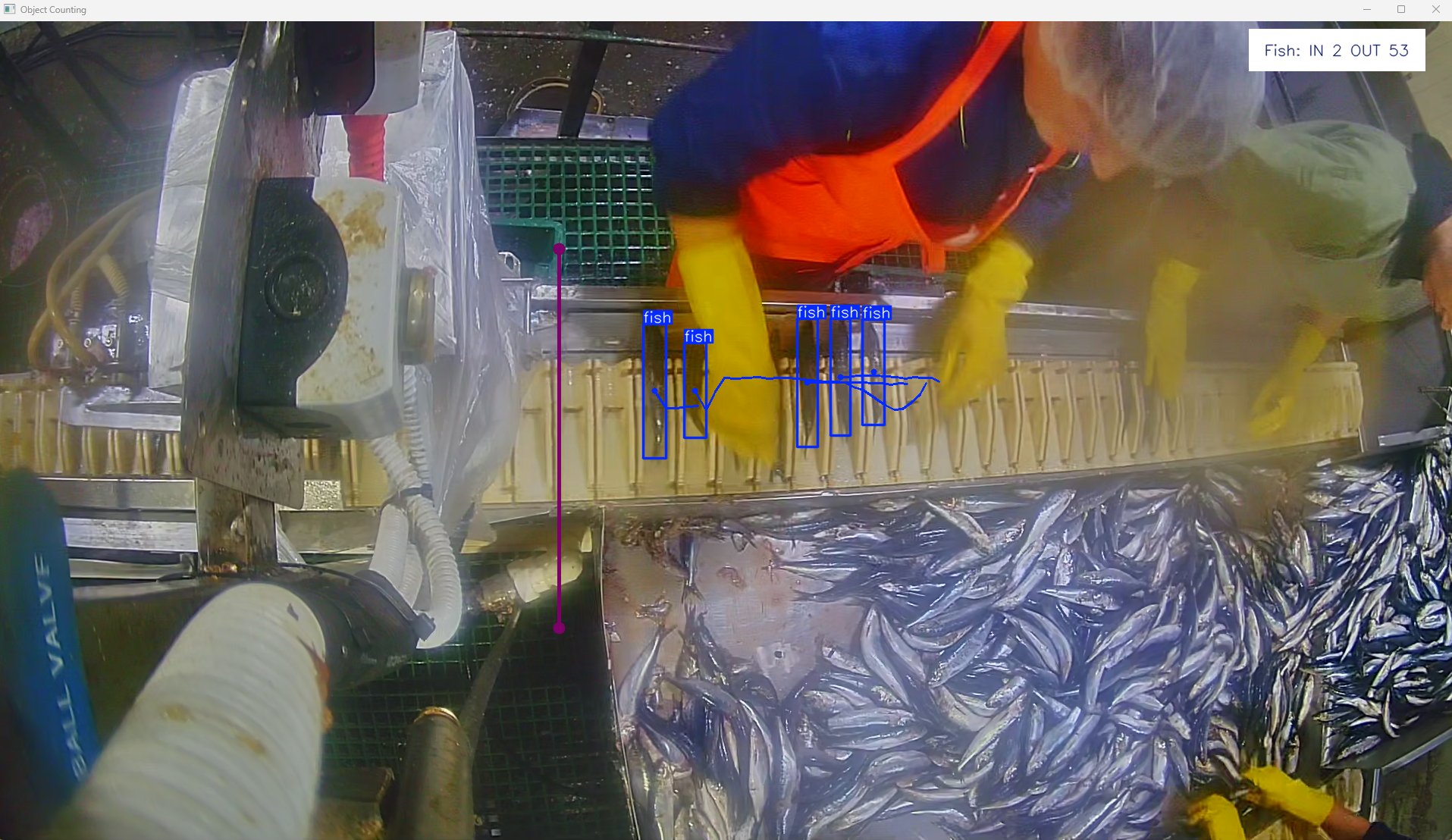 Фото: «Доброфлот» Фото: «Доброфлот»