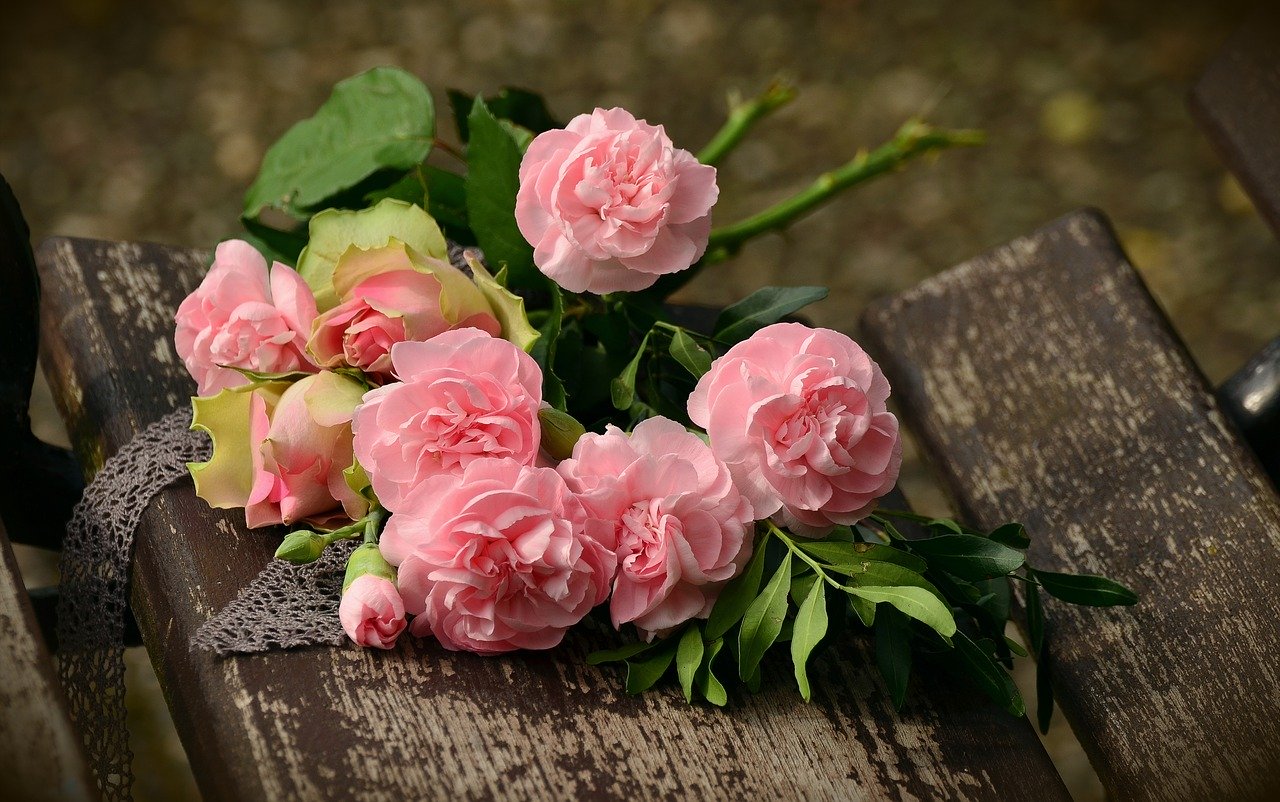 цветы, pixabay