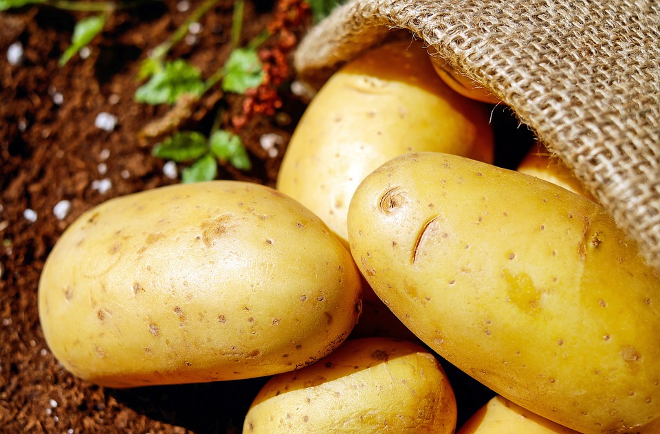 Роскачество проверило картофель – Новости ритейла и розничной торговли
