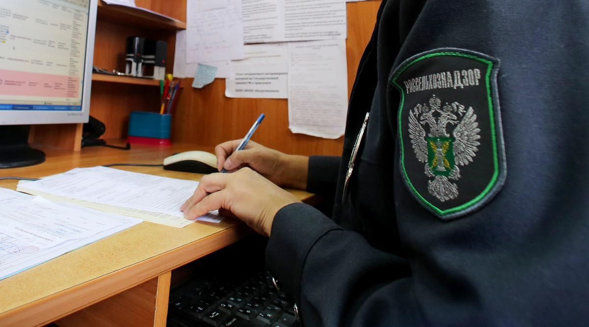 Проверка белорусских авто