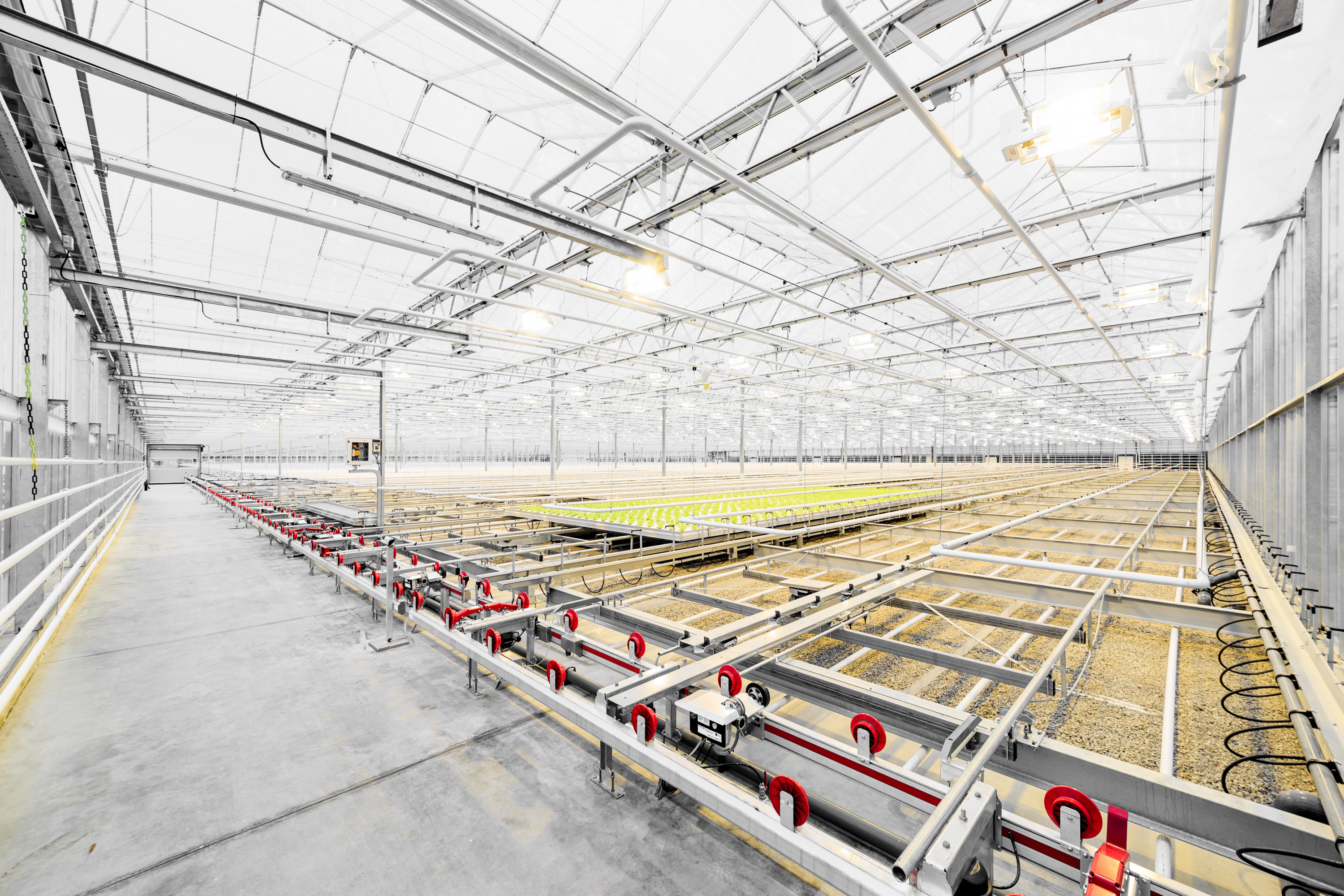 кашира тепличный комплекс агрокультура групп. московский агрохолдинг теплицы. тепличный комбинат агаповский. теплицы агрохолдинга московский. агрокомбинат московский, московский, солнечная улица.