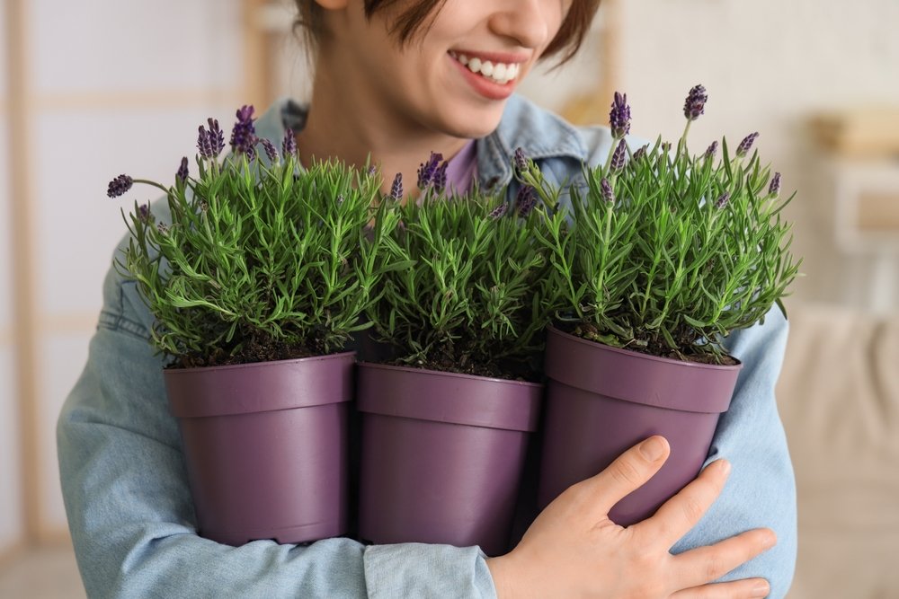 Pixel-Shot/Shutterstock/Fotodom