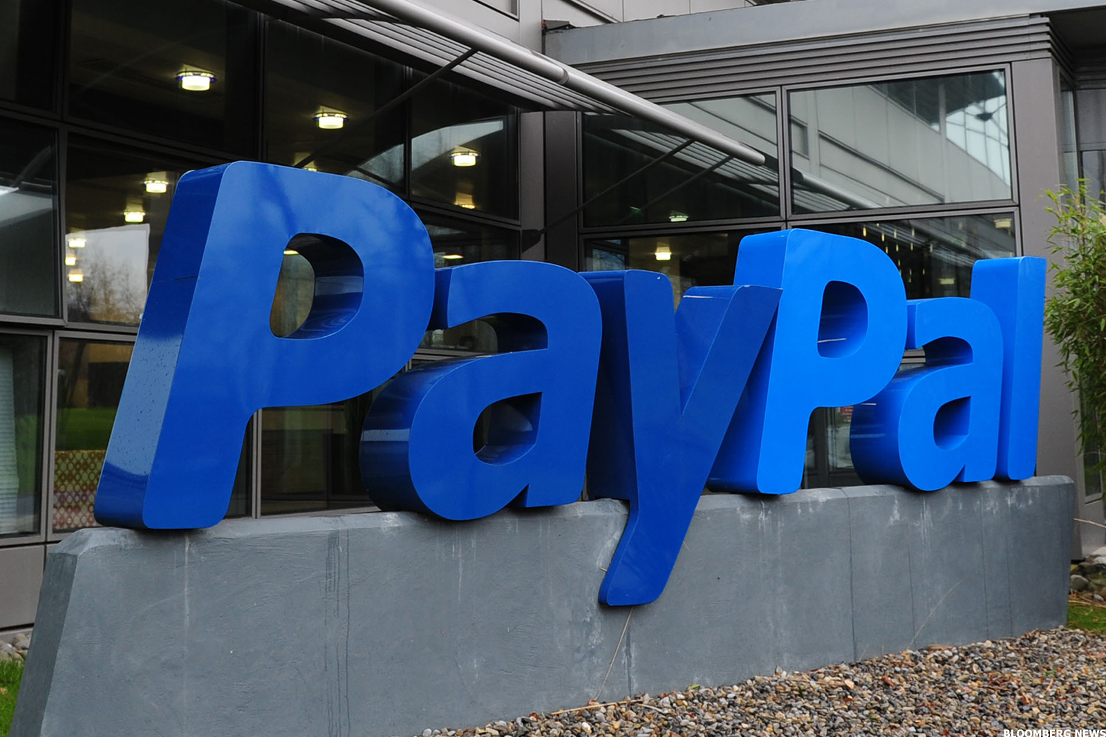 paypal